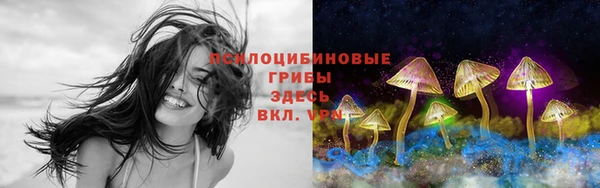 а пвп мука Новозыбков