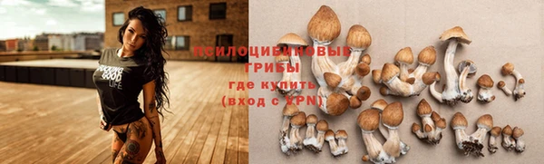 дмт Новодвинск