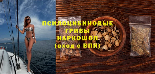 дмт Новодвинск