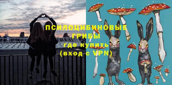 дмт Новодвинск