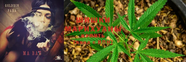 mix Новокубанск