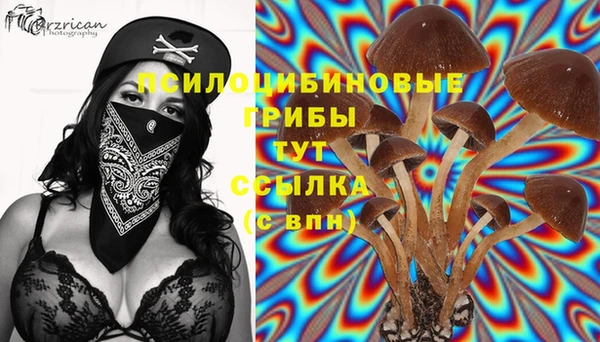 mix Новокубанск